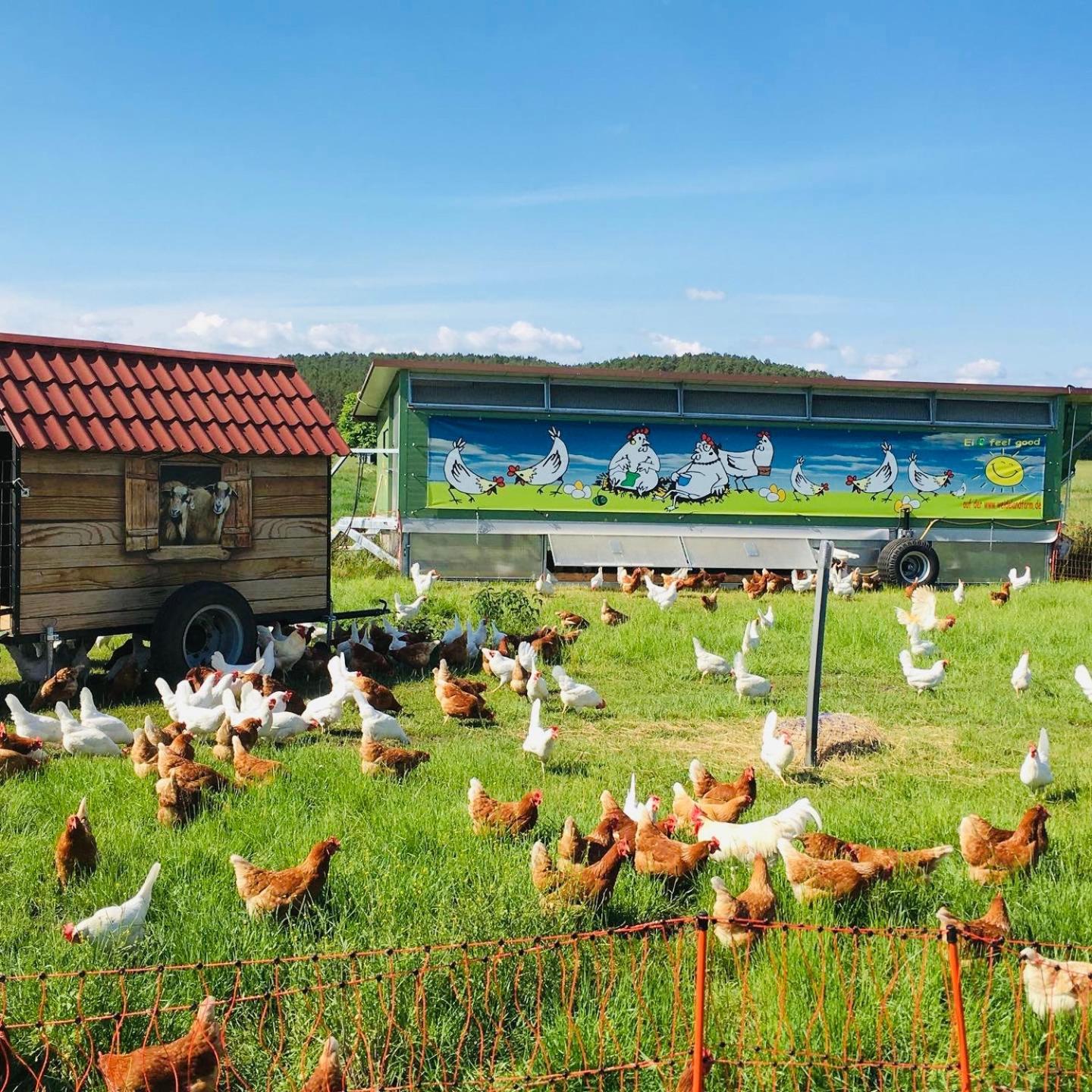 Weidelandfarm Am Riebener See Apartman Beelitz Kültér fotó