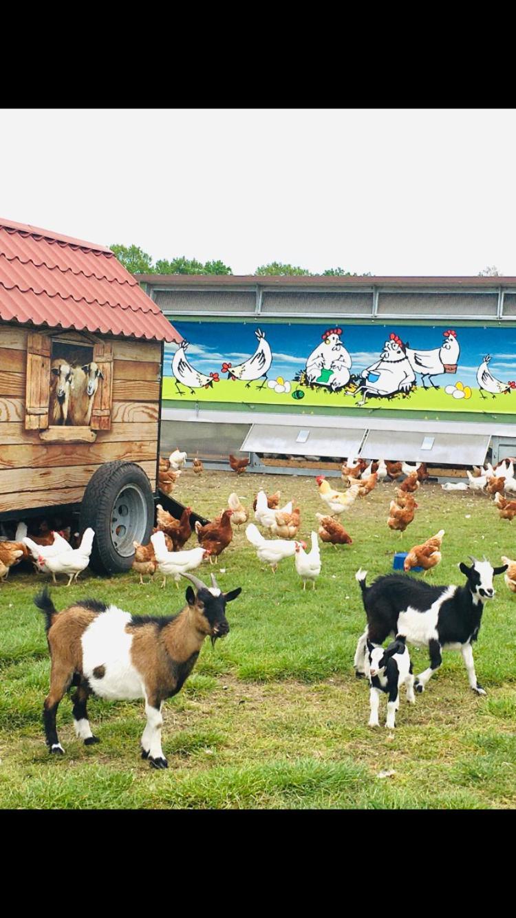 Weidelandfarm Am Riebener See Apartman Beelitz Kültér fotó