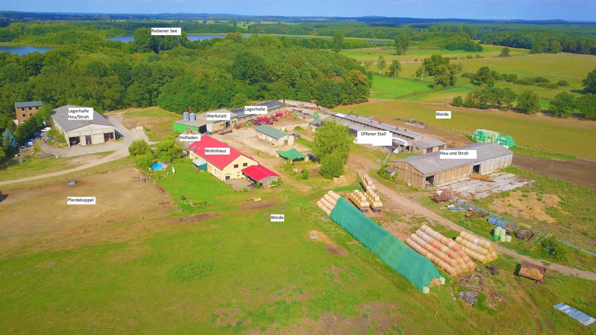 Weidelandfarm Am Riebener See Apartman Beelitz Kültér fotó